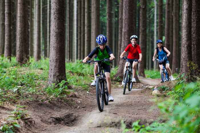 Forest family cycle biking cycling vacations routes mountain adventure families bike summer holidays vacation activities pyrenees share park children favourite Forest family cycle biking cycling vacations routes mountain adventure families bike summer holidays vacation activities pyrenees share park children favourite